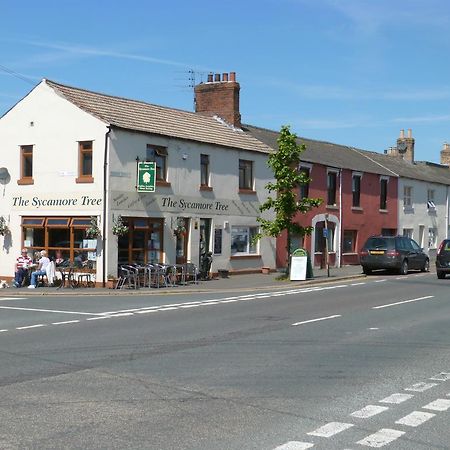 The Sycamore Tree Longtown (Cumbria) Exterior foto